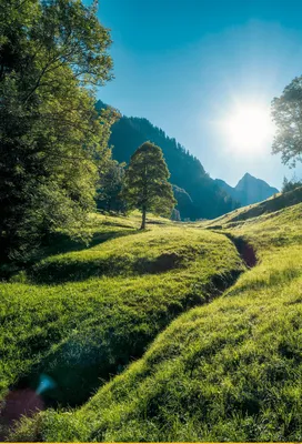 Oberstdorf, Germany / рассвет :: фотография :: пейзаж :: Природа (красивые  фото природы: моря, озера, леса) / смешные картинки и другие приколы:  комиксы, гиф анимация, видео, лучший интеллектуальный юмор. картинки