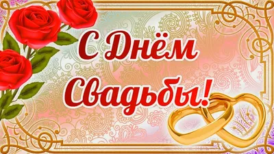 С Днем Свадьбы! Прикольные Поздравления С Днем Свадьбы. Прикольные  Свадебные Поздравления с Зайками - YouTube картинки