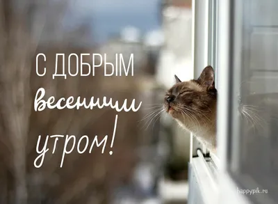 🌸✨☕ Красивые картинки \ картинки