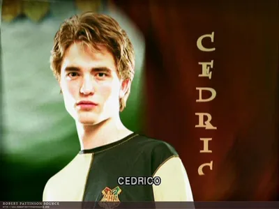 Cedric Diggory Wand Wallpaper от handmadebylissylou картинки