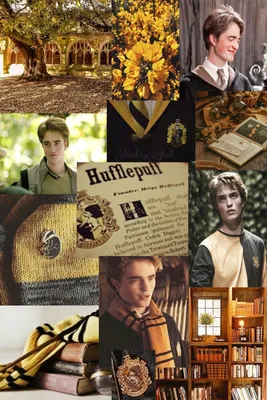 Cedric Diggory Эстетическая стена-коллаж 59 изображений DIGIAL | Этси Канада картинки