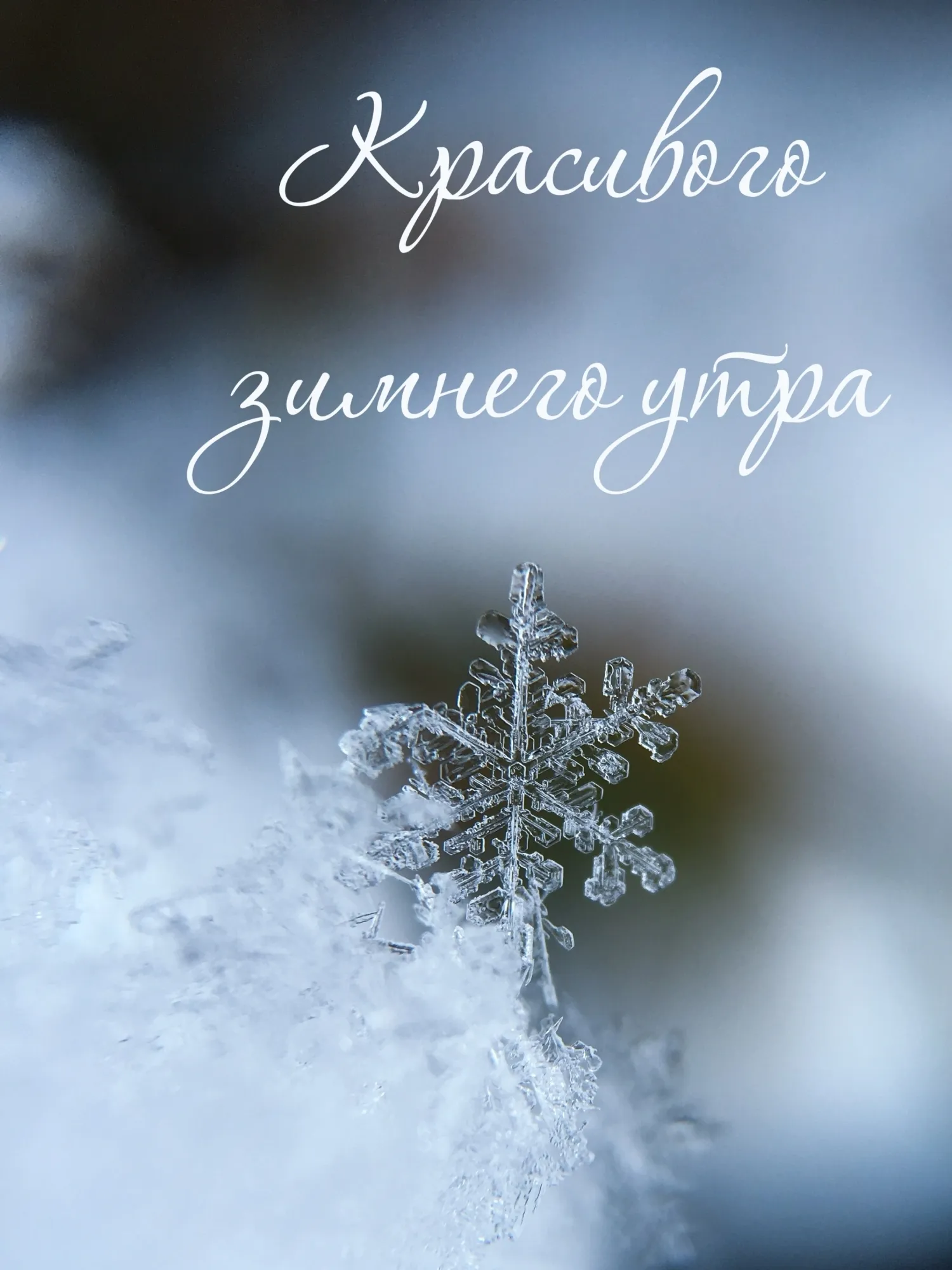 Картинки доброе утро зима
