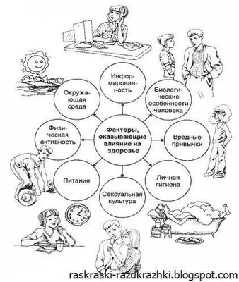 Здоровый образ жизни для детей картинки #3 - скачать или распечатать  раскраску из категории «здоровый образ жизни для детей картинки» бесплатно  #201460 картинки