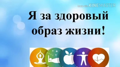 Картинки с надписью я за здоровый образ жизни (45 фото) » Юмор, позитив и  много смешных картинок картинки