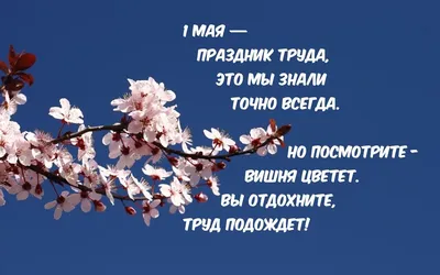 Праздник Весны и Труда 1 Мая: новые красивые открытки и поздравления в  стихах с Первомаем-2022 картинки