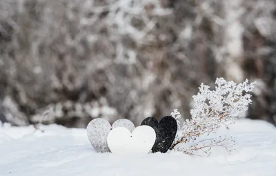 Обои зима, снег, любовь, сердце, love, heart, winter, snow, romantic,  valentine картинки на рабочий стол, раздел настроения - скачать картинки