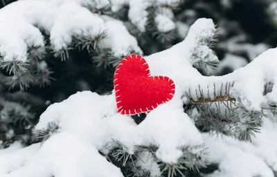 Обои зима, снег, любовь, сердце, елка, red, love, heart, winter, snow,  romantic, valentine, fir tree картинки на рабочий стол, раздел настроения -  скачать картинки