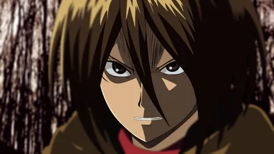 shingeki no kyojin mikasa ackerman HD обои, фоны картинки