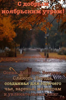 Осень. Холодно. Ветрено. Слякоть. Погода, созданная для горячего чая,  варенья, мелодрам и увлекательных книг\u003e… | Доброе утро, Осенние фотографии,  Осенние картинки картинки