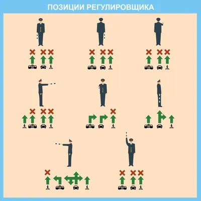 Сигналы регулировщика. Картинка пояснение сигналов регулировщика дорожного  движения. Картинка ПДД с позициями регулировщика. Жесты регулировщика. |  Картинки картинки