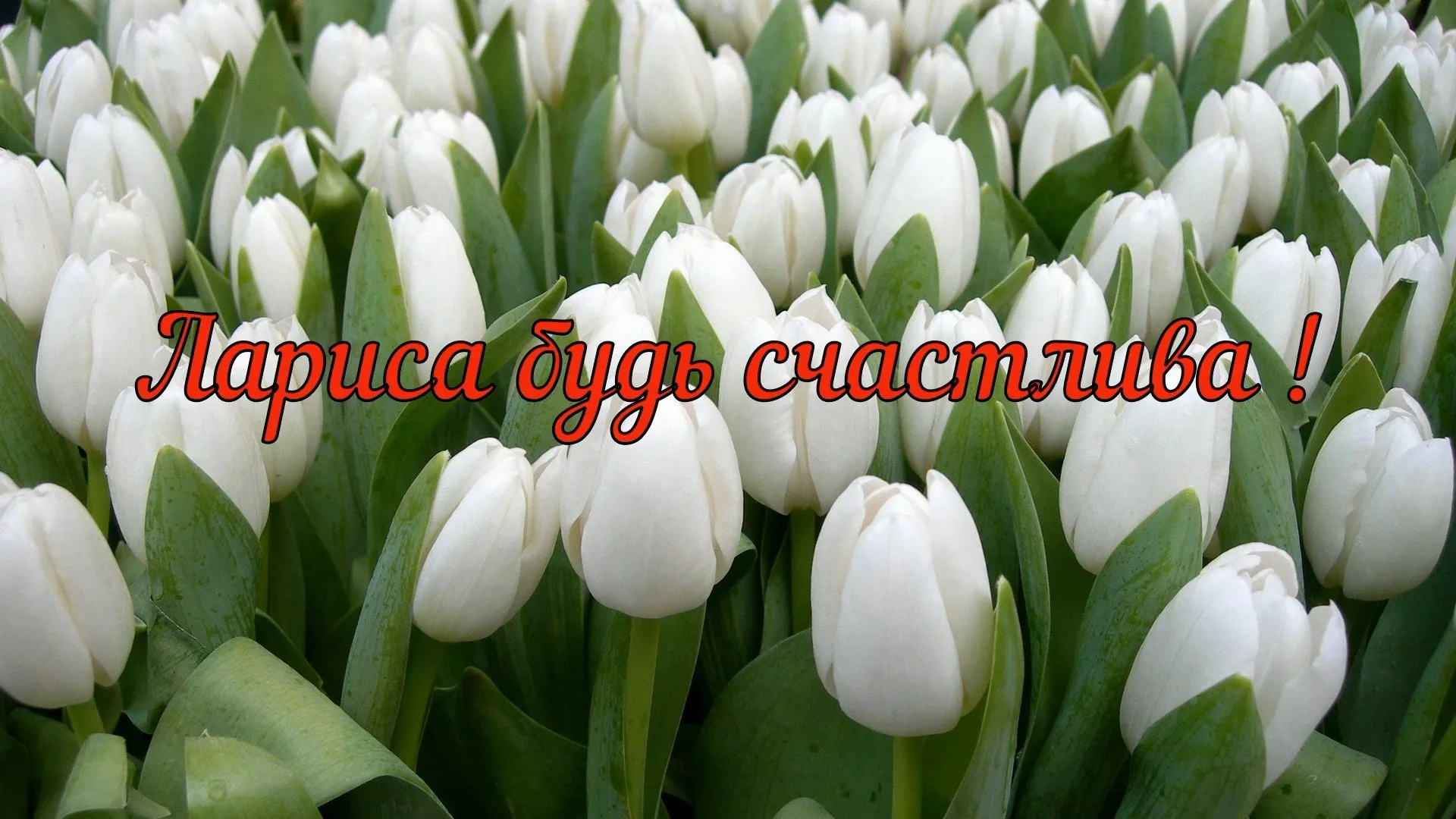 С днем рождения лариса картинки с пожеланиями
