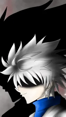 Обои ID: 429636 / Anime Hunter x Hunter Phone Wallpaper, Killua Zoldyck, Серые Волосы, 750x1334 скачать бесплатно картинки