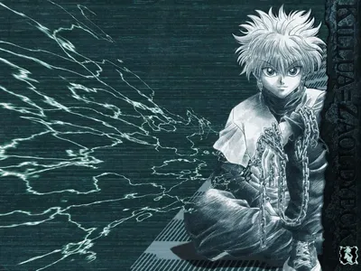 HXH KILLUA - Киллуа Золдик Обои (36076414) - Fanpop картинки