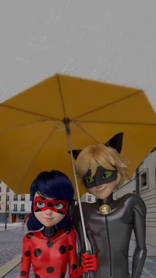 Леди Баг и супер Кот | Fondos de ladybug, Cat noir, Fotos de cat noir картинки