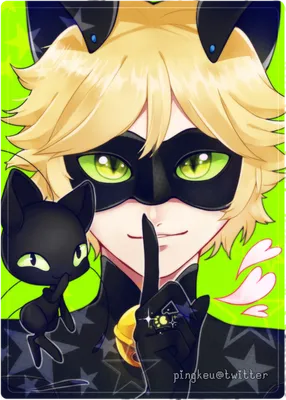 Фото Adrien Agreste / Chat Noir / Адриан Агрест / Супер-Кот и Plagg / Плагг  из мультсериала Miraculous: Tales of Ladybug and Cat Noir / удесные истории  ЛедиБаг и Кота Нуара, by nuenie картинки