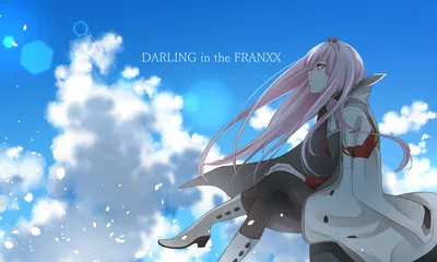 620+ Zero Two (Дорогая в FranXX) HD-обоев и фонов картинки