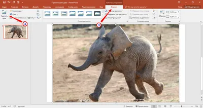 Как удалить фон с изображения в Microsoft PowerPoint | Белые окошки картинки
