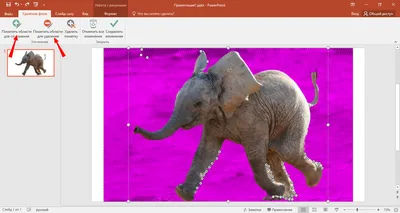 Как удалить фон с изображения в Microsoft PowerPoint | Белые окошки картинки