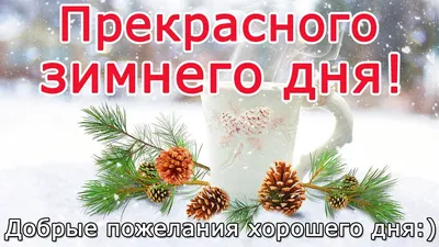 Добрые пожелания хорошего дня / Музыкальная открытка / Красивая природа,  теплые пожелания - YouTube картинки