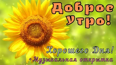 ДОБРОЕ УТРО! ЛУЧШИЕ ПОЖЕЛАНИЯ С ДОБРЫМ УТРОМ! КРАСИВАЯ МУЗЫКАЛЬНАЯ ОТКРЫТКА  С ПОЖЕЛАНИЯМИ С. Чекалин - YouTube картинки