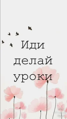 школьные обои school wallpapers | Надписи, Обои, Мятные обои картинки