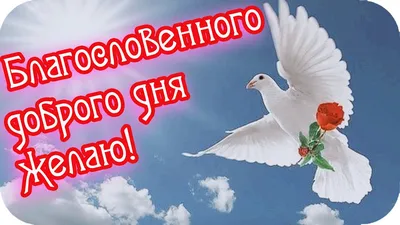 Доброе утро! 🌸Благословенного, доброго дня желаю! 🌸Душевное пожелание  🌸Good morning!🌸 - YouTube картинки