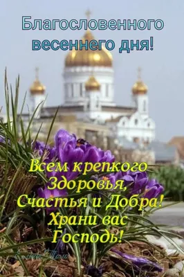 Благословенного дня - фото и картинки: 66 штук картинки