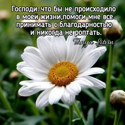 Доброе утро! Благословенного дня.. | † ПРАВОСЛАВИЕ. СТИХИ, РАССКАЗЫ, ПРИТЧИ  | ВКонтакте в 2023 г | Христианские цитаты, Благословение, Христианские  картинки картинки