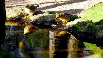 Обои Вода, картинки - Обои для рабочего стола Вода фото из альбома:  (природа) картинки