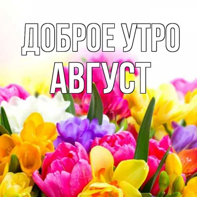 Открытка с именем Август Доброе утро картинки. Открытки на каждый день с  именами и пожеланиями. картинки