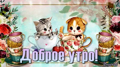 Доброе утро! Счастья вам желаю я друзья! - YouTube картинки