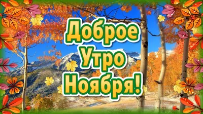 Доброе Утро Ноября🍁 Пожелание Доброго Утра🌞 С Добрым Утром - YouTube картинки