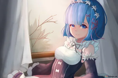 Скачать бесплатно обои ID: 335130 / Anime Re:ZERO - Жизнь с нуля в другом мире - Обои для телефона, Рем (Re:ZERO), Рам (Re:ZERO), Эмилия (Re:ZERO), 1440x2560 скачать бесплатно картинки