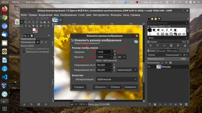 Как изменить размер изображения в Gimp - Losst картинки