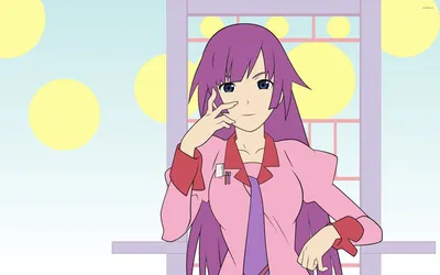 Hitagi Senjougahara - Bakemonogatari обои - Аниме обои - #32106 картинки