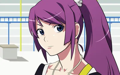 bakemonogatari monogatari (series) ponytail senjougahara hitagi vector |  konachan.com - Konachan.com Anime Wallpapers картинки