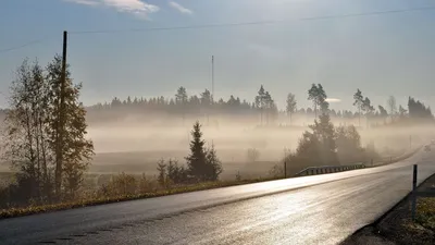 Обои дорога, асфальт, туман, утро, свежесть, блеск, деревья, провода  картинки на рабочий стол, фото скачать бесплатно картинки