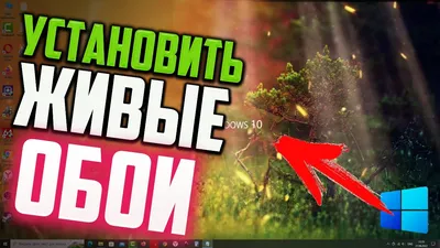 Как установить ЖИВЫЕ ОБОИ на Рабочий стол Windows 10 - YouTube картинки