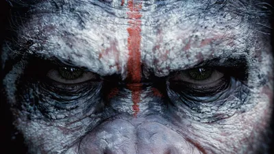 Обои Война планеты обезьян, обезьяна, лучшие фильмы, War for the Planet of  the Apes, ape, 4k, Фильмы #12135 картинки