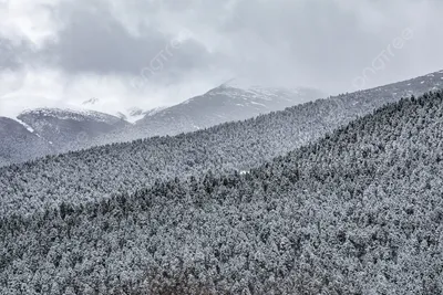 Фотокарта горного пика Юньу Фон, Облака, горная вершина, облако фон  картинки и Фото для бесплатной загрузки картинки