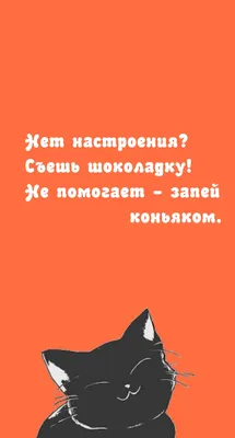 Прикольные картинки для поднятия настроения (251 шт.) картинки