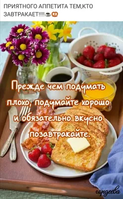 💐Olga brosh🌺💥 on Twitter: \ картинки