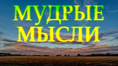 МУДРЫЕ МЫСЛИ\ картинки