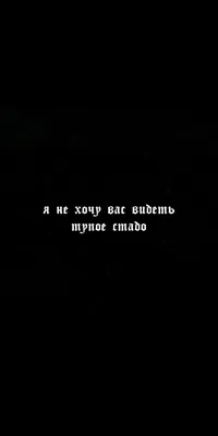 Обои для телефона | Исторические цитаты, Вдохновляющие высказывания,  Вдохновляющие фразы картинки