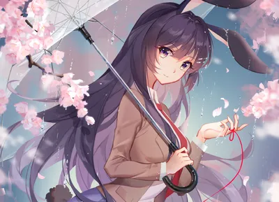 Cherry Blossom Mai Sakurajima Umbrella hd обои - Eyecandy для вашего XFCE-Desktop - xfce-look.org картинки