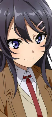 Скачать обои ID: 303419 / Anime Rascal Does Not Dream of Bunny Girl Senpai Phone Wallpaper, Mai Sakurajima, 1440x3200 скачать бесплатно картинки