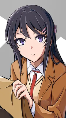 Скачать обои ID: 386537 / Anime Rascal Does Not Dream of Bunny Girl Senpai Phone Wallpaper, Mai Sakurajima, 1080x1920 скачать бесплатно картинки