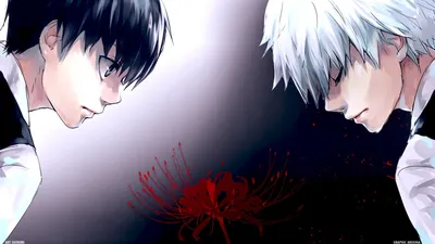 Обои Tokyo Ghoul, Anime Boy, Ken Kaneki, Hd Image, Picture, Background, K6swwk для рабочего стола картинки