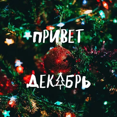 С первым днём зимы! ❄🎄 Пусть даже в холодный, зимний день на душе будет  тепло, а на лицах сияют морозные улыбки!… | Christmas bulbs, Christmas  mood, Holiday decor картинки