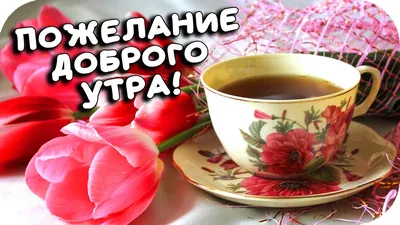 ДОБРОЕ УТРО! Музыкальная открытка с добрым утром! Пожелание доброго утра и  хорошего дня! (2020) | Открытки, Доброе утро, Праздник картинки